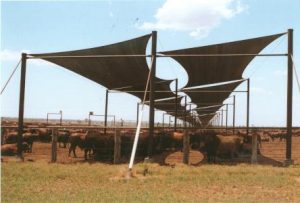long cattle shade sails in QLD